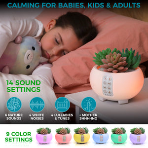 BabenHome 3-in-1 White Noise Machine and Night Light - for Adults, Kids, Baby